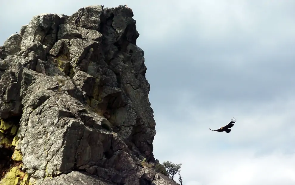 Mietwagenrundreise Extremadura: Vogelbeobachtung am Salto del Gitano im Nationalpark Monfragüe