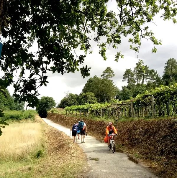 Wanderreise Portugiesischer Jakobsweg – Letzte 125 Kilometer: Pilger bei Caldas de Reis