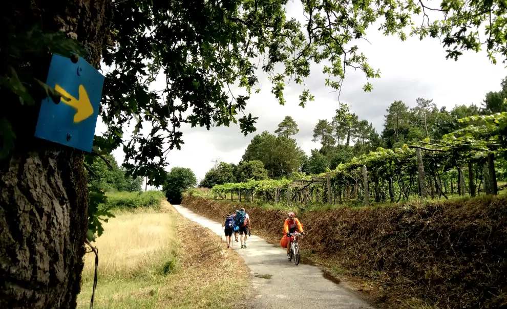 Wanderreise Portugiesischer Jakobsweg – Letzte 125 Kilometer: Pilger bei Caldas de Reis