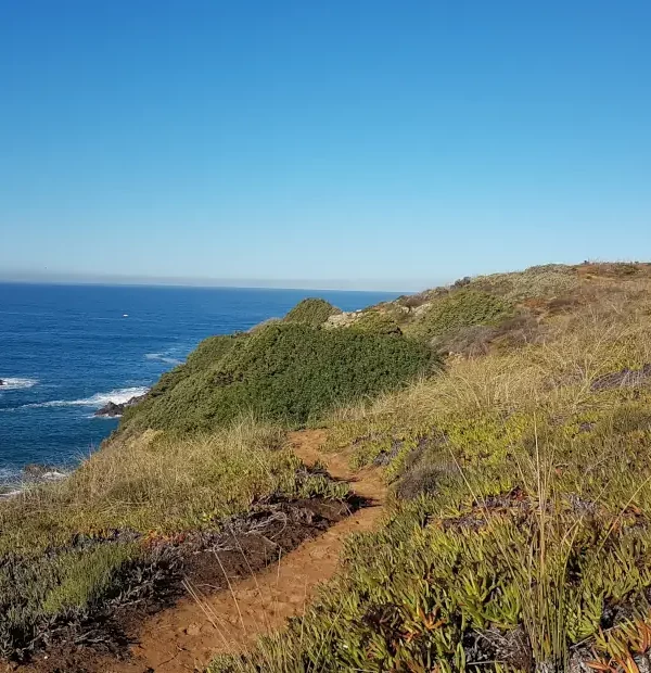 Wanderreise Fischerweg 8 Tage: Markierung des Fischerwegs bei Azenha do Mar