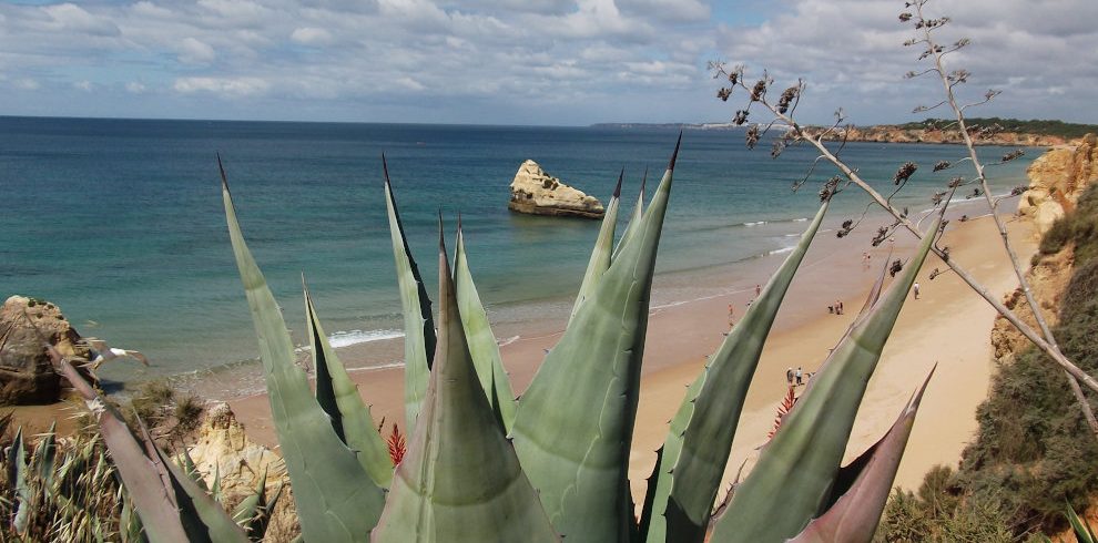 Pousadas-Rundreise Algarve: Strand und Vegetation an der Algarve