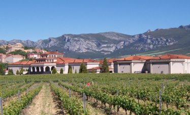Mietwagenreise Baskenland & La Rioja: Weinreben und Weinkellerei in Laguardia in der Rioja