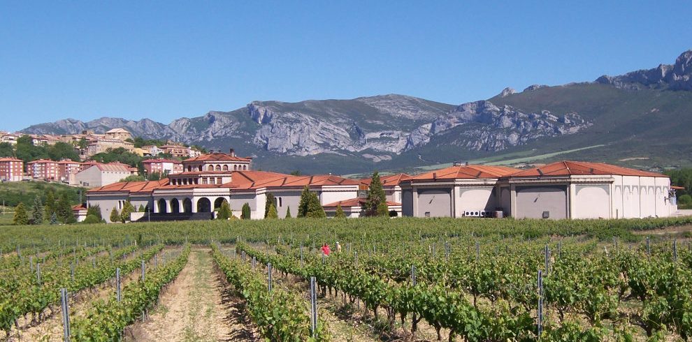 Mietwagenreise Baskenland & La Rioja: Weinreben und Weinkellerei in Laguardia in der Rioja