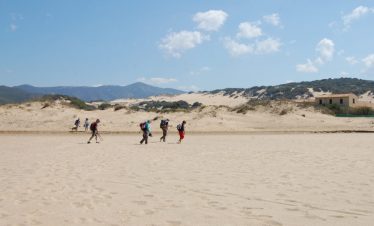 Wanderreise Sardinien: Dünen von Piscinas an Sardiniens Westküste