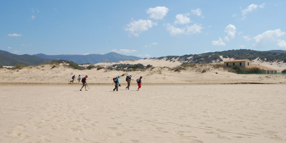 Wanderreise Sardinien: Dünen von Piscinas an Sardiniens Westküste