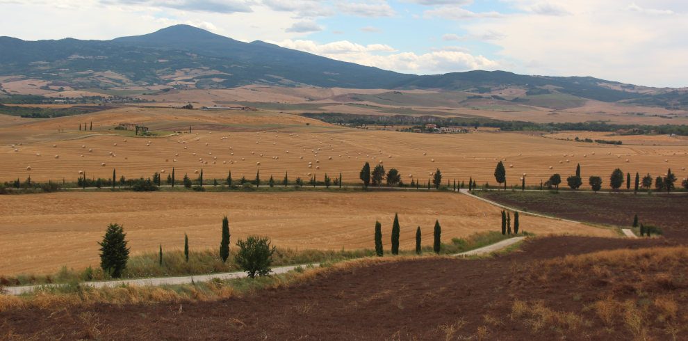 Wanderreise Toskana: Landschaft in der Toskana