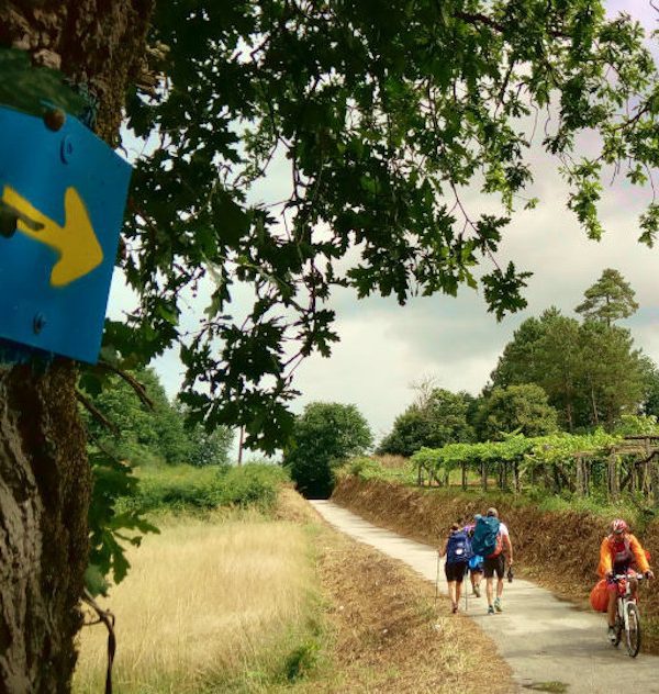Wanderreise Portugiesischer Jakobsweg von Porto nach Santiago: Pilger bei Caldas de Reis