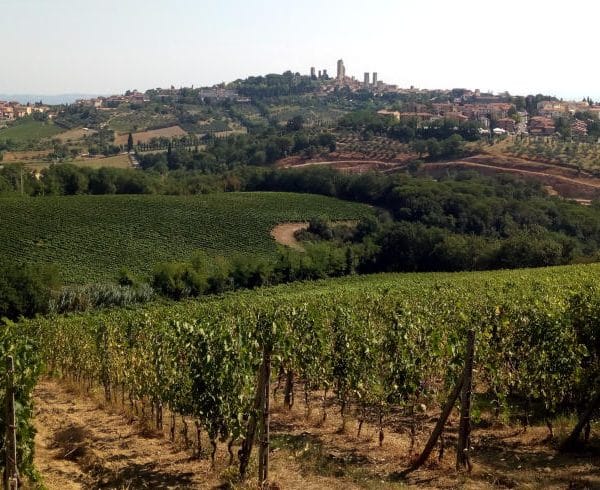 Wanderreise Via Francigena – Von Lucca nach Siena: Blick auf San Gimignano auf der Via Francigena in der Toskana