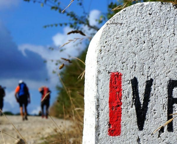 Wanderreise Via Francigena – Von Lucca nach Siena: Via Francigena San Miniato Gambassi