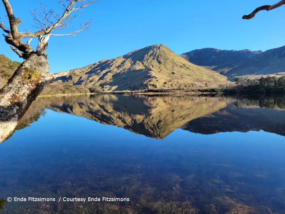 View From Kylemore Abbey, Connemara, Co Galway / © Enda Fitzsimons / Courtesy Enda Fitzsimons