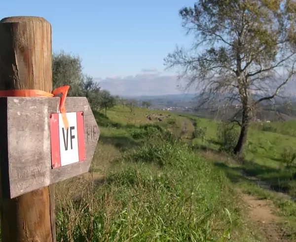 Wanderreise Via Francigena von Lucca nach Siena: Wegweiser auf der Via Francigena