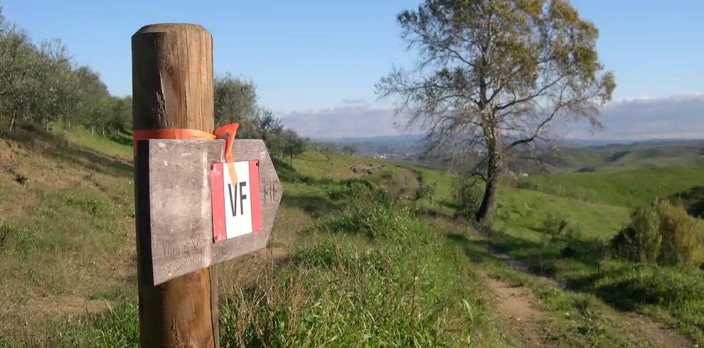 Wanderreise Via Francigena von Lucca nach Siena: Wegweiser auf der Via Francigena