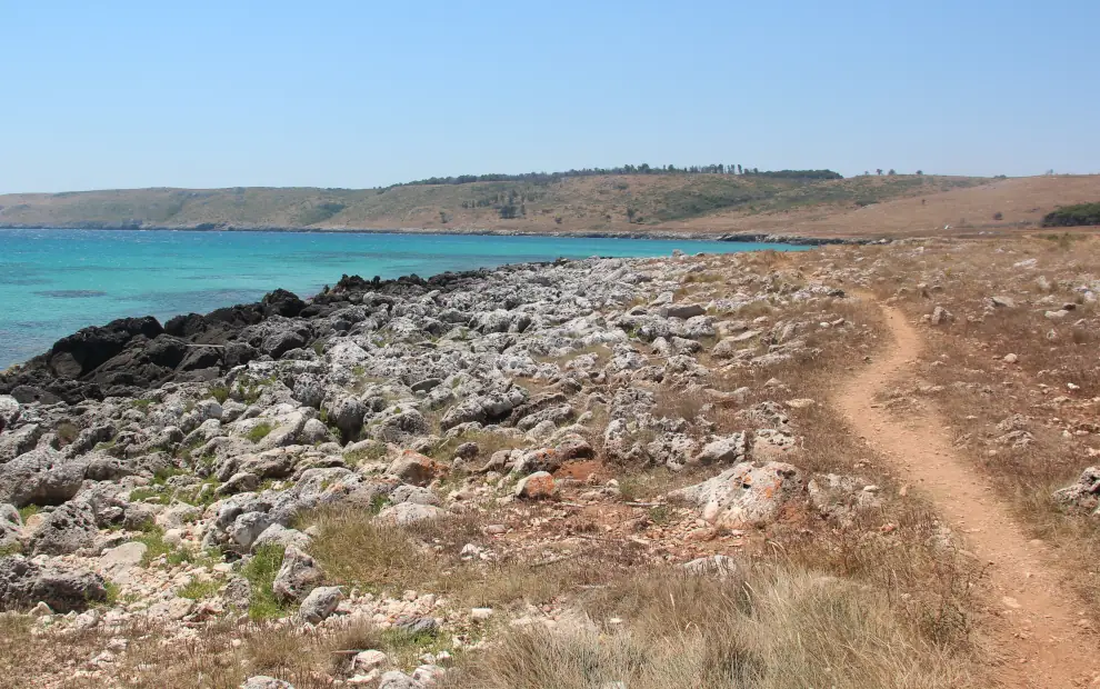 Wanderreise Küstenwandern in Apulien: Wanderweg an der Küste mit Blick auf das blaue Meer