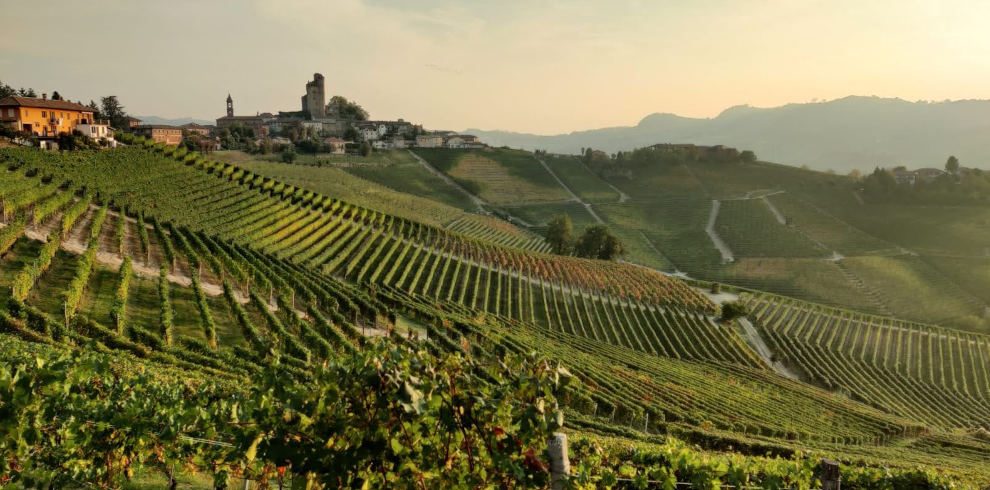 Wanderreise Piemont: Weinlandschaft Barolo