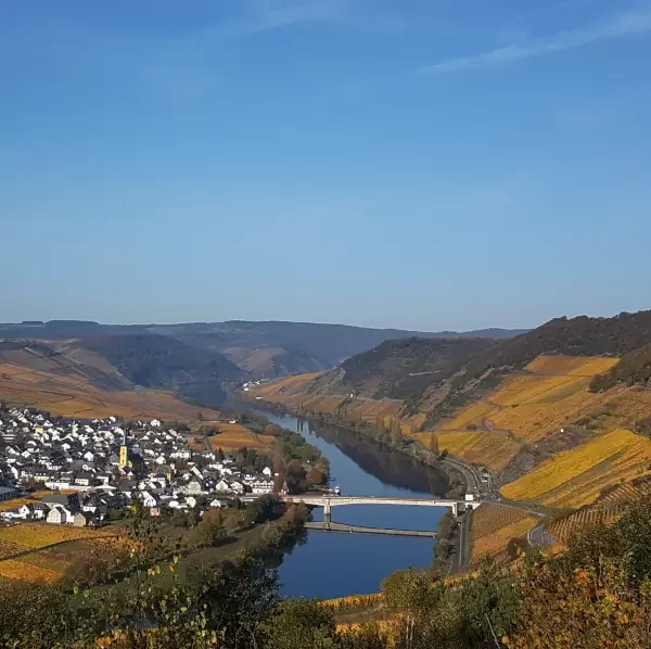 Wanderreise Moselsteig von Trier nach Bernkastel-Kues: Blick auf Trittenheim von der Zummethöhe