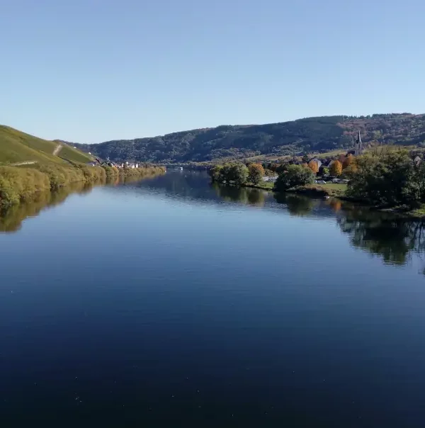 Wanderreise Moselsteig von Bernkastel-Kues nach Zell