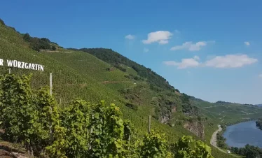 Wanderreise Moselsteig von Bernkastel-Kues nach Zell: Blick auf die Mosel bei Ürzig