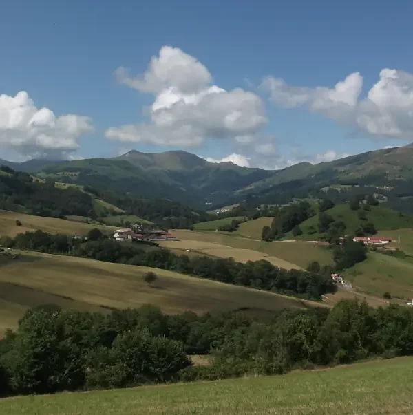 Wanderreise Jakobsweg St Jean Pied de Port: Landschaft bei St Jean Pied de Port