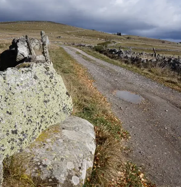 Wanderreise Jakobsweg Frankreich: Landschaft im Aubrac