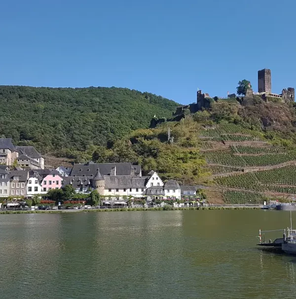 Wanderreise Mosel-Camino: Blick auf Beilstein und die Mosel