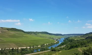 Wanderreise Moselsteig von Perl nach Trier: Blick auf die Mosel bei Wincheringen