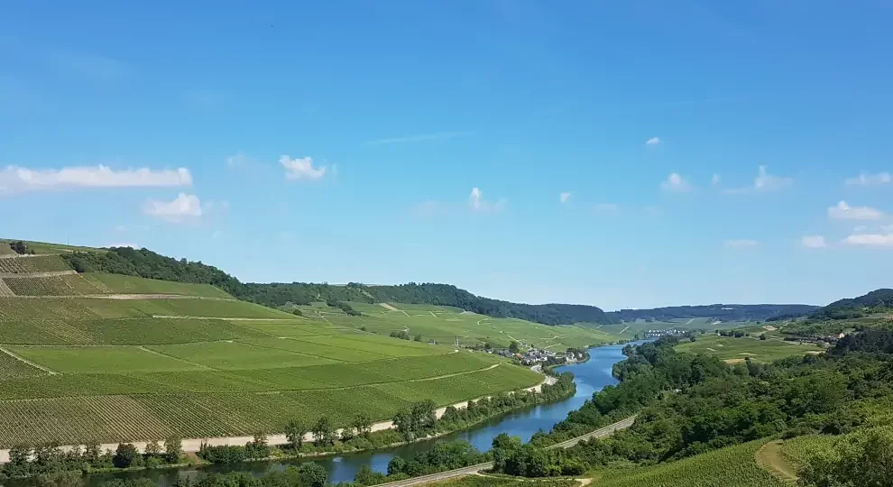 Wanderreise Moselsteig von Perl nach Trier: Blick auf die Mosel bei Wincheringen