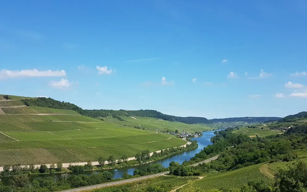 Wanderreise Moselsteig von Perl nach Trier: Blick auf die Mosel bei Wincheringen