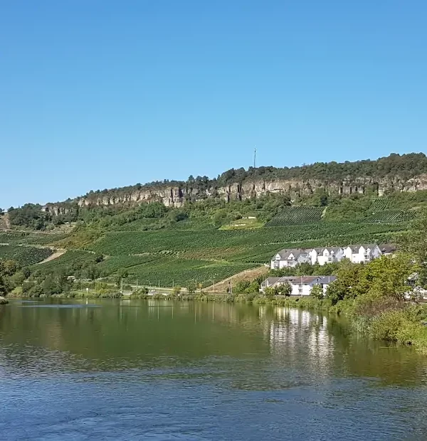 Wanderreise Moselsteig von Perl nach Trier: Felsen über Nittel und der Mosel