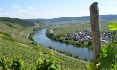 Mosel-Camino: Blick auf die Mosel bei Klüsserath