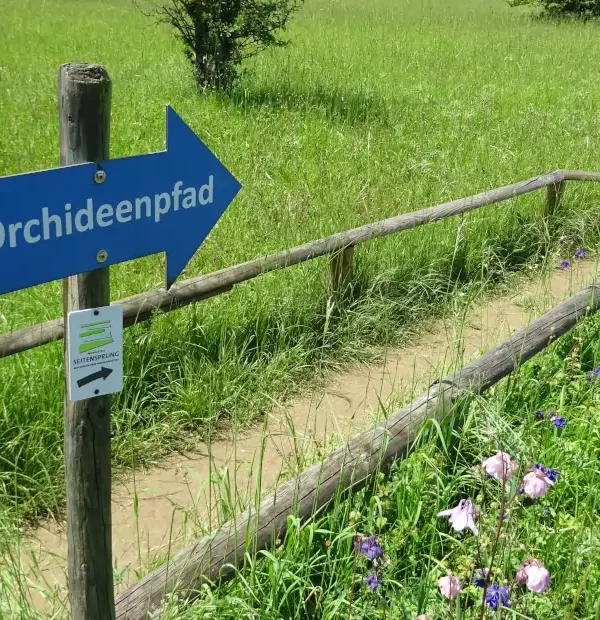 Wanderreise Moselsteig von Perl nach Trier: Orchideenpfad bei Wasserliesch