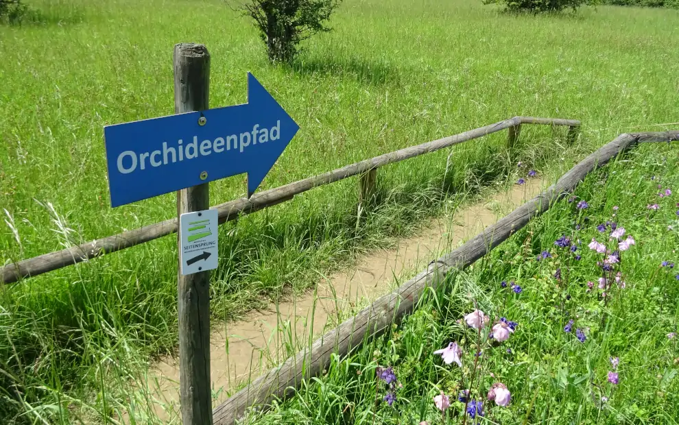 Wanderreise Moselsteig von Perl nach Trier: Orchideenpfad bei Wasserliesch