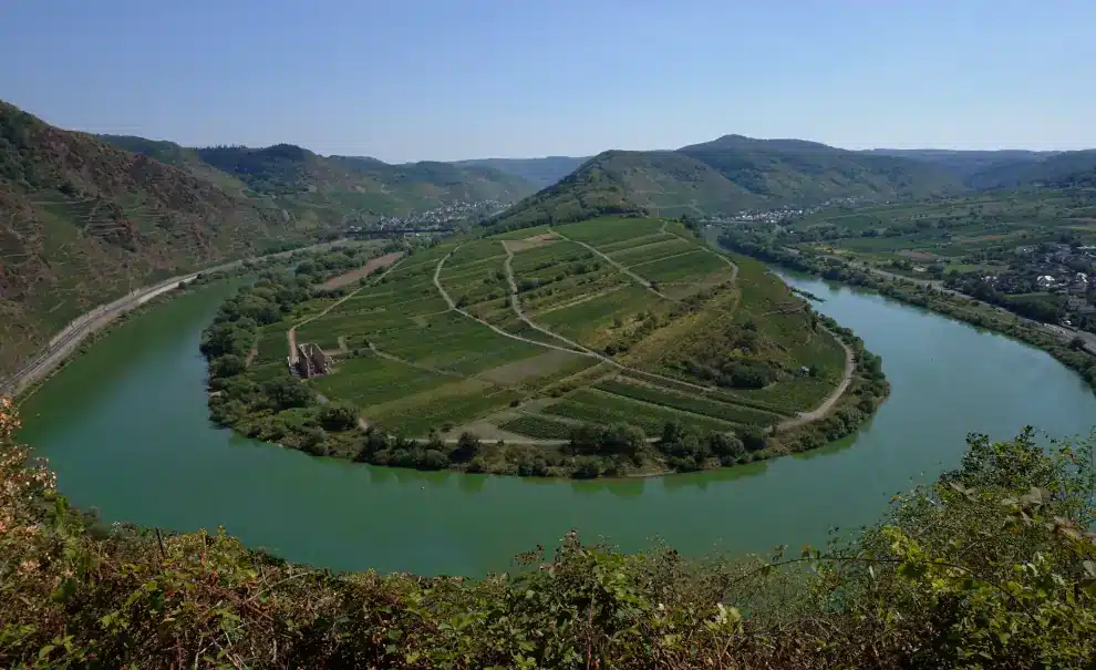 Wanderreise Moselsteig von Zell nach Cochem: Moselschleife am Calmont