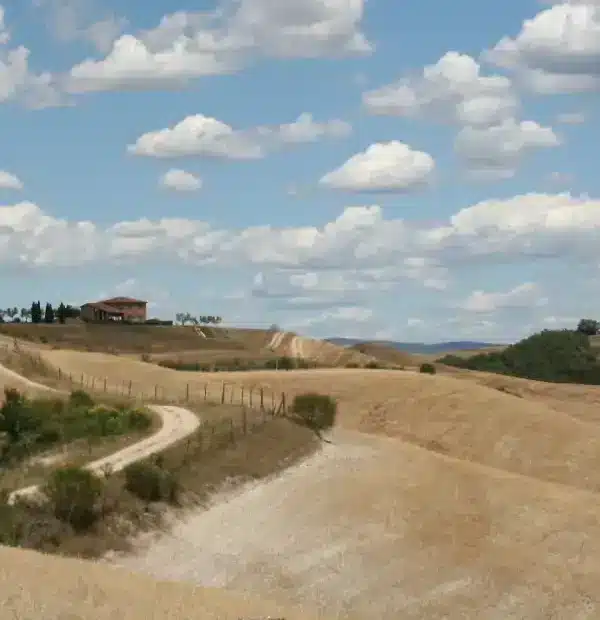 Wanderreise Via Francigena - Von Siena nach Montefiascone: Landschaft in der Toskana