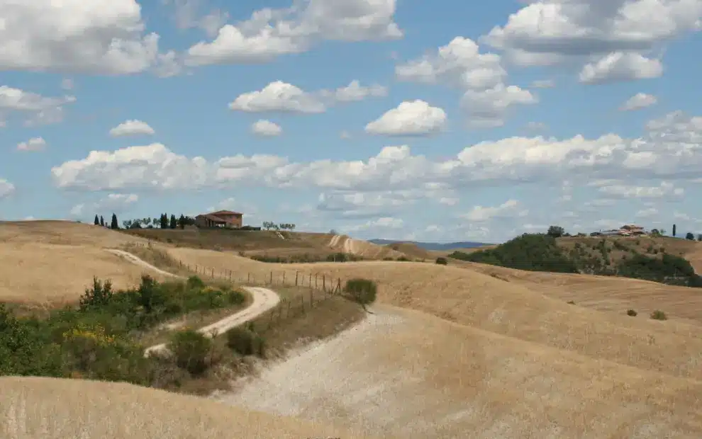 Wanderreise Via Francigena - Von Siena nach Montefiascone: Landschaft in der Toskana