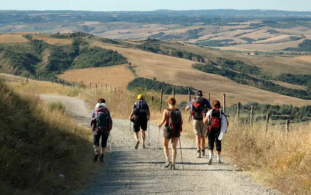 Wanderreise Via Francigena – Von Siena nach Montefiascone: Wanderer auf der Via Francigena in der Toskana