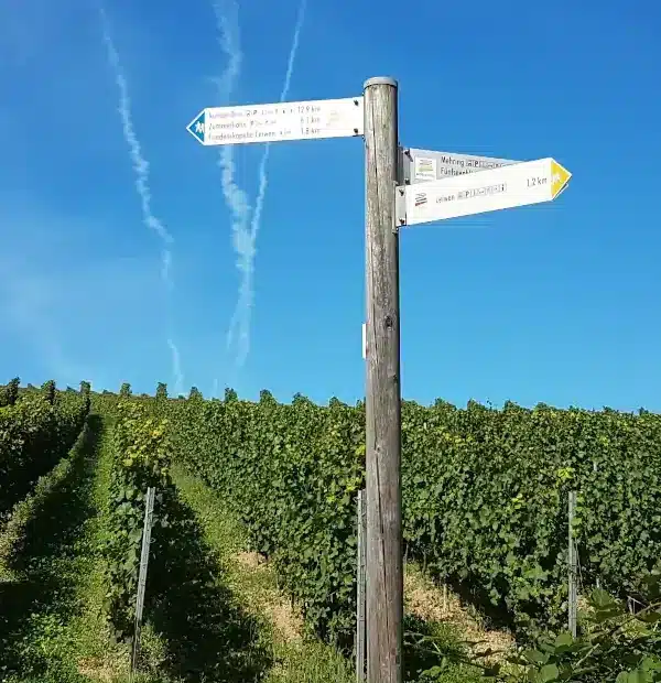 Wanderreise Moselsteig: Beschilderung Moselsteig in den Weinbergen von Leiwen