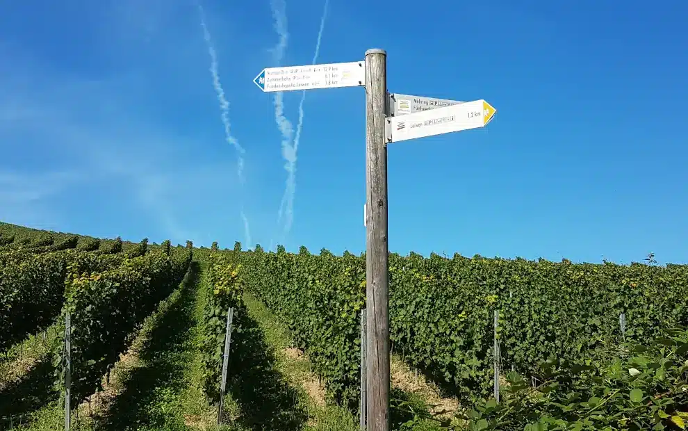 Wanderreise Moselsteig: Beschilderung Moselsteig in den Weinbergen von Leiwen