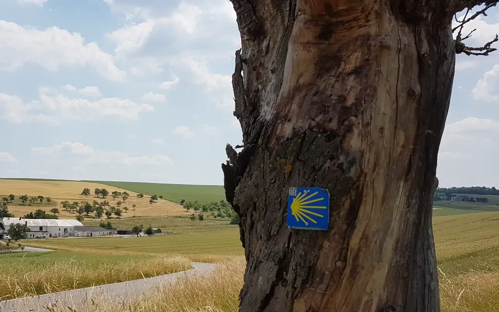 Markierung auf dem Jakobsweg von Köln nach Trier - Via Coloniensis