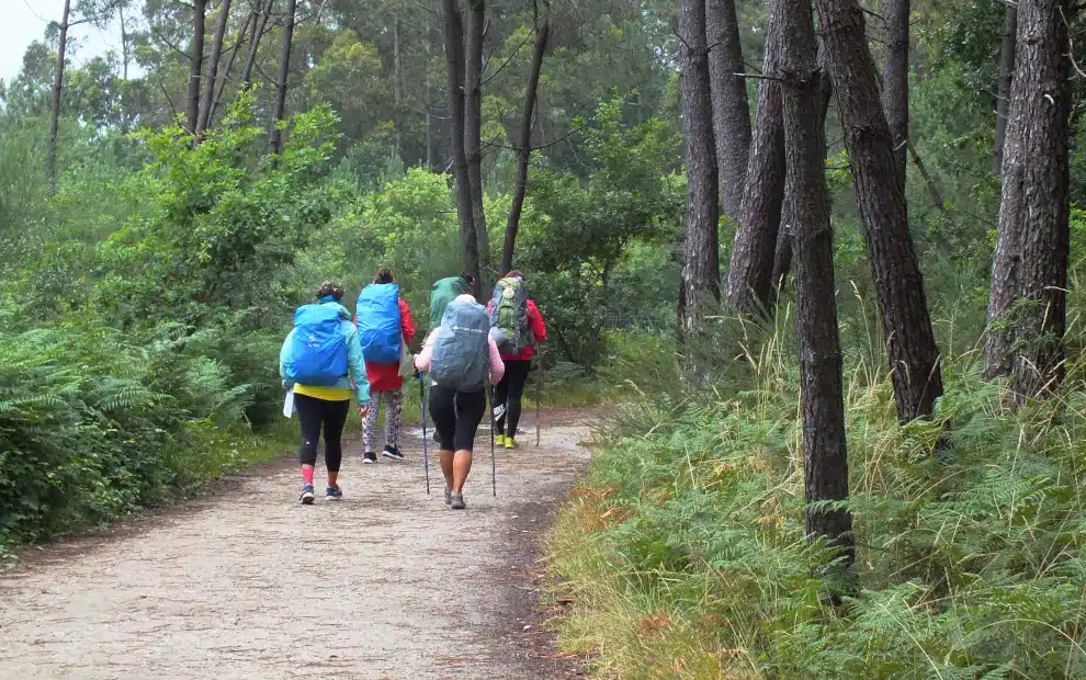 Pilger auf dem Camino Portugues