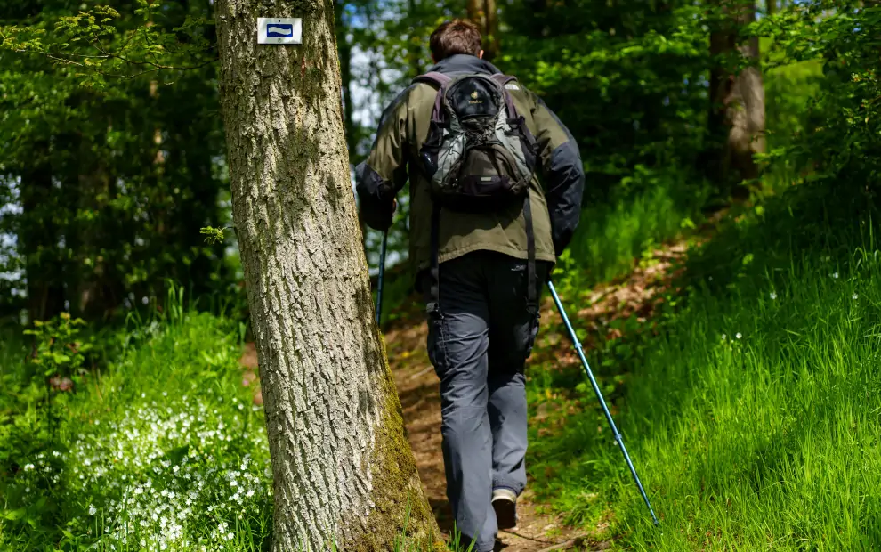 Wanderreise Eislek Trail: Wanderer auf dem Eislek Trail