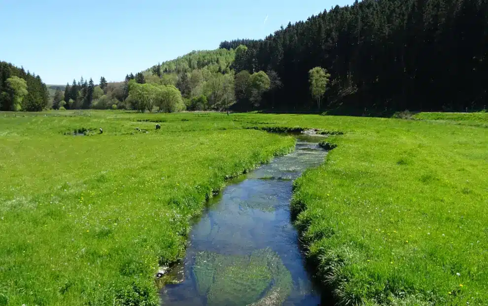 Wanderreise Eislek Trail: Blick auf den Trëtterbaach bei Sassel