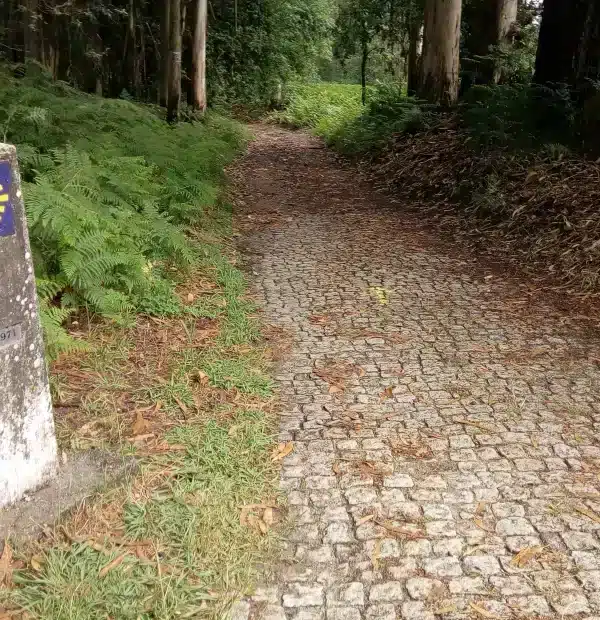 Wegmarkierung auf dem Camino Portugues