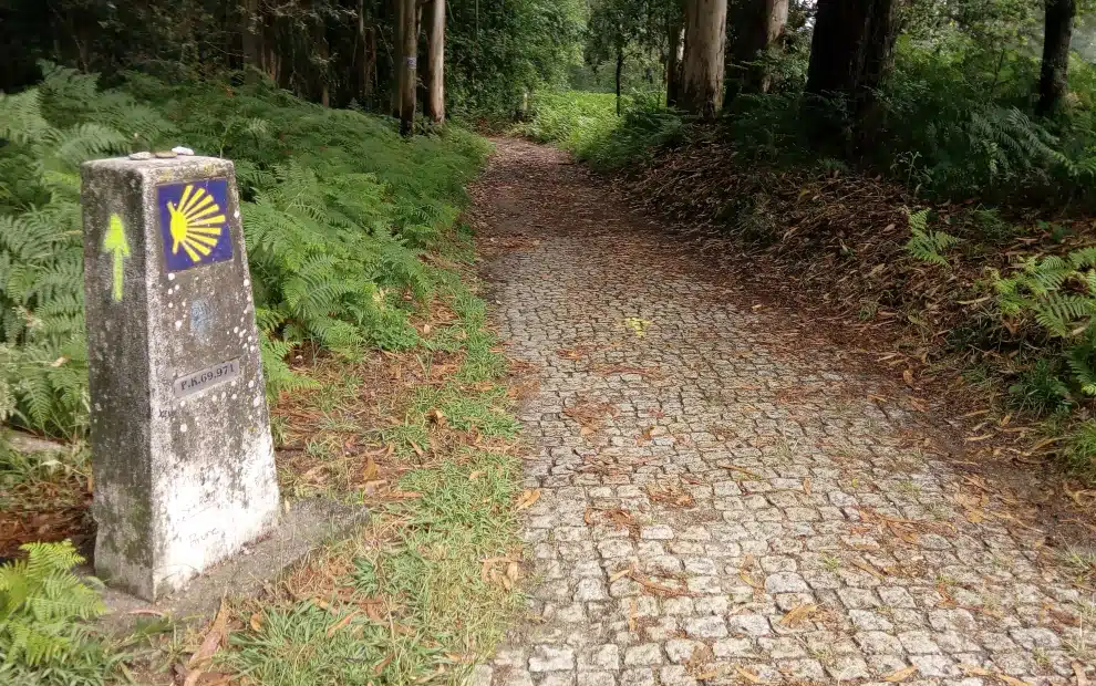 Wegmarkierung auf dem Camino Portugues