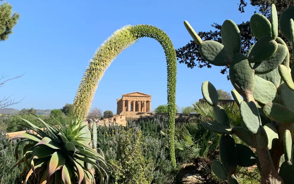 Wanderreise Sizilien - Magna Via Francigena: Tempio della Concordia Agrigento