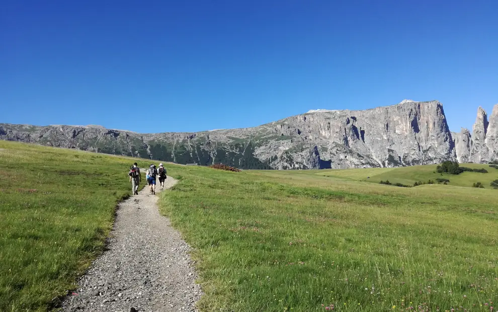 Wanderreise Südtirol Keschtnweg: Wanderer auf der Seiser Alm