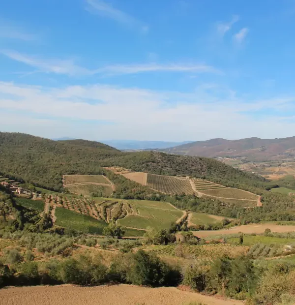 Wanderreise Toskana - Chianti: Landschaft und Weinberge