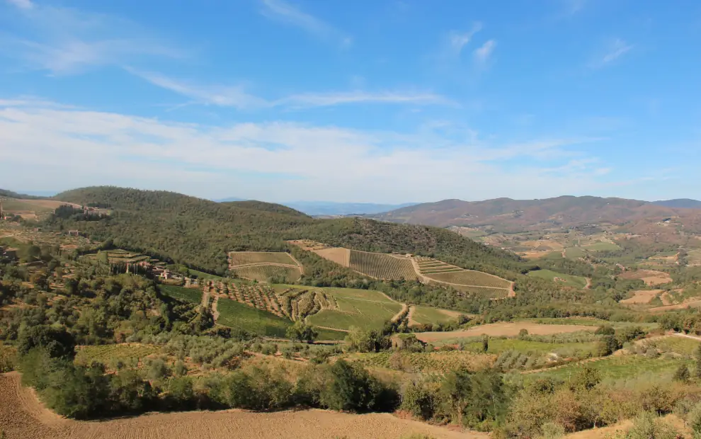 Wanderreise Toskana - Chianti: Landschaft und Weinberge