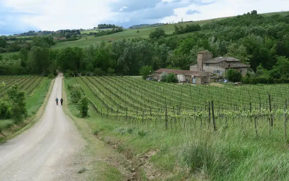 Wanderreise Höhepunkte der Via Francigena in der Toskana: Pilger auf dem Weg nach Siena