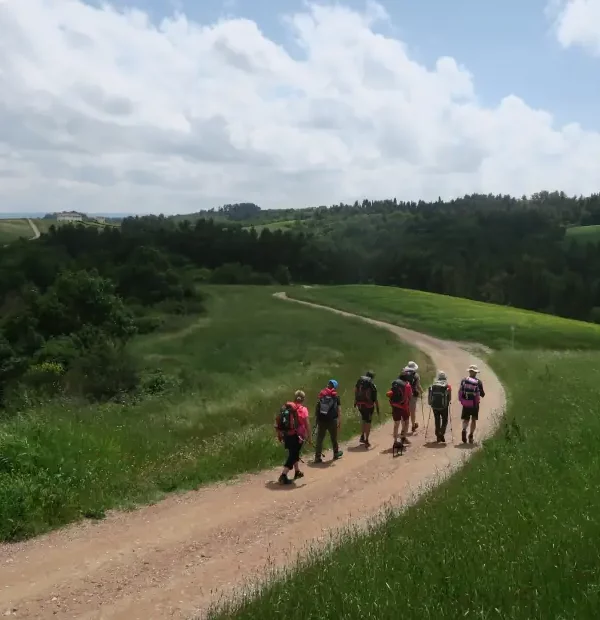 Wanderreise Höhepunkte der Via Francigena in der Toskana: Pilger bei San Miniato