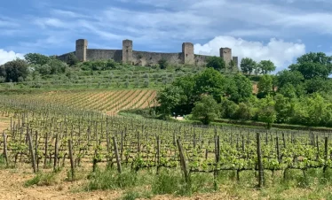 Wanderreise Höhepunkte der Via Francigena in der Toskana: Mauern von Monteriggioni